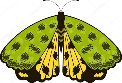 Hermosas mariposas vector gráfico vectorial Forewer imagen 7185397