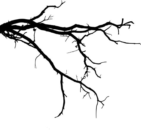 41 Best Ideas For Coloring Tree Branch Silhouette