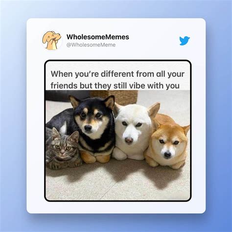 33 Wholesome Memes To Absolutely Make Your Day