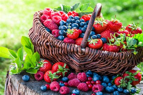 Do You Know About The Types Of Berries And Their Benefits The Statesman