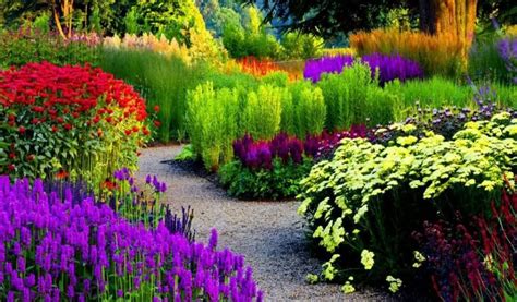 Tips To Maintain A Flowers Garden Gardensy