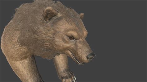 3d model fantasy rpg grizzly bear vr ar low poly cgtrader