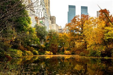 Central Park In Fall The Best Places To Photograph Autumn Foliage