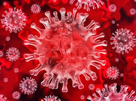 Today is a devastating day for nova scotia and will remain etched in the minds of many for years to come, she said. Coronavirus Canada updates: Nova Scotia identifies 23 new ...
