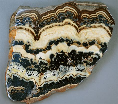 Schalenblende (zinc-lead ore) (Early Cretaceous mineraliza… | Flickr