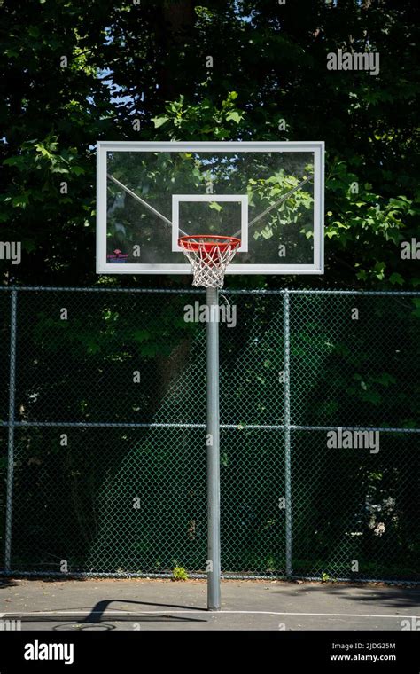 Old Basketball Court Surrounded By Lush Summer Woods Stock Photo Alamy