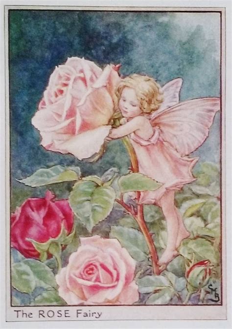 Rose Flower Fairy Vintage Print C1950 Cicely Mary Barker
