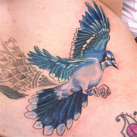 Blue Jay Bird Tattoo By Jai Gilchrist With Images