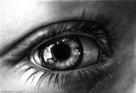 Eyes Drawing Eye Pencil Drawing Realistic Pencil Drawings Pencil