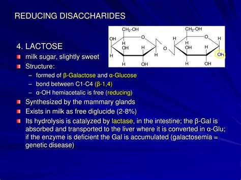 Ppt Carbohydrates Powerpoint Presentation Free Download Id668663
