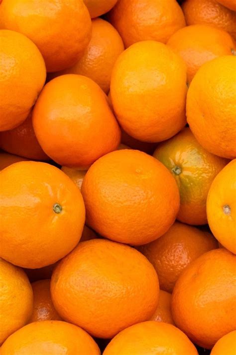 what are jaffa oranges types of oranges growing citrus oranges