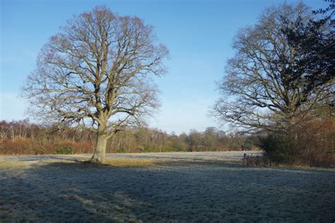 Frosty Field Near Peper Harow © Des Blenkinsopp Geograph Britain And
