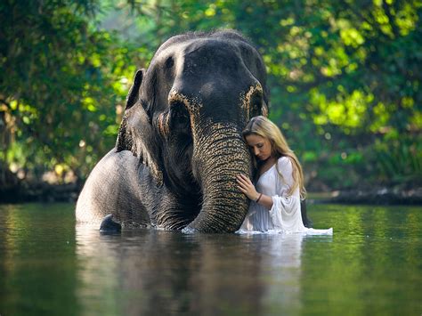 Wallpaper Elephant And Girl In The Water 1920x1200 Hd