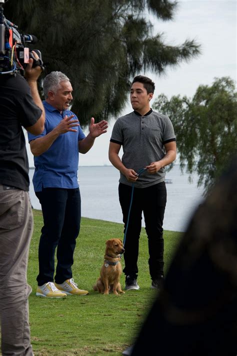 Fathers And Sons And Dogs Cesar Millan And David Leepson And Their