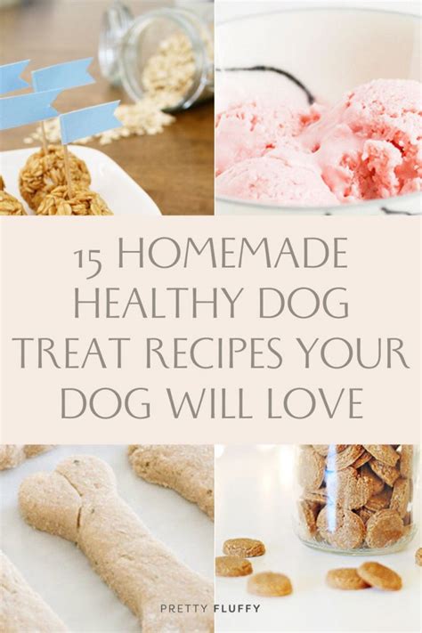 15 Homemade Healthy Dog Treat Recipes Pretty Fluffy