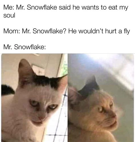 Mr Snowflake Just Wants To Play Rmemes