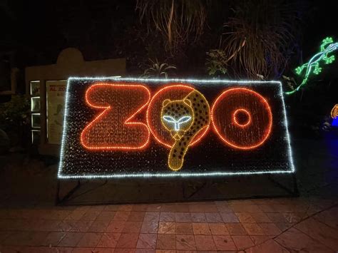 El Zoológico La Aurora Regresa Con Las Noches Bajo La Luna Novedades Gt