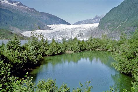 Mendenhall Glacier Mendenhall Glacier Near Juneau Alaska Wbirt1