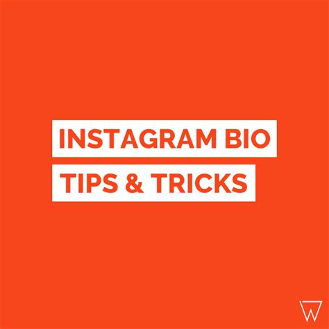 Top More Than 167 Logos For Instagram Bio Latest Camera Edu Vn