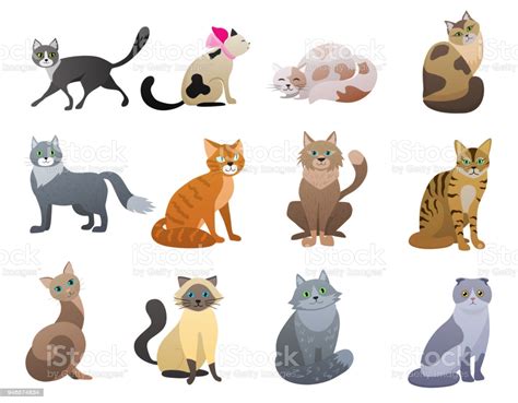 Vector Funny And Cute Cartoon Cat Different Breeds Pet
