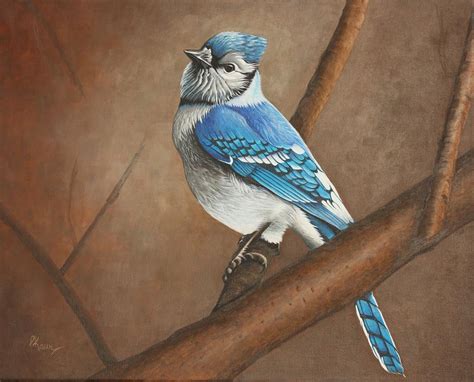 Blue Jay Painting By Pam Kaur Pixels