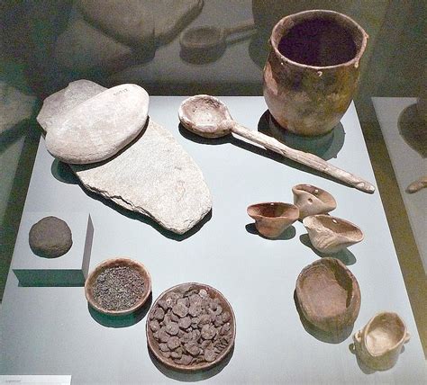 Los Humanos Del Neolítico Inventaron La Cocina Hace Más De 10000 Años