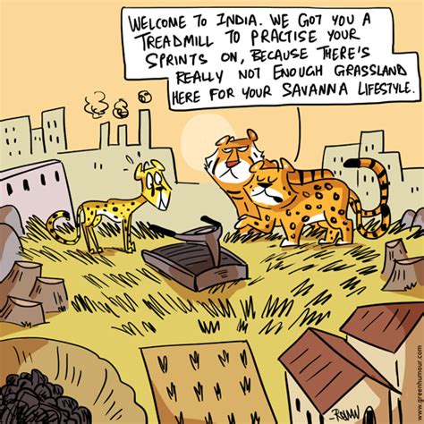 Green Humour Cheetah Reintroduction In India