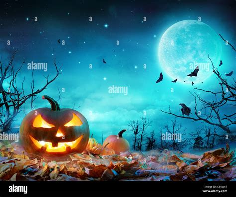 Pumpkin Glowing At Moonlight In The Spooky Forest Halloween Scene