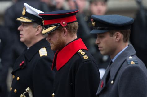 Prince Harry And Prince William On Remembrance Day 2015 Popsugar