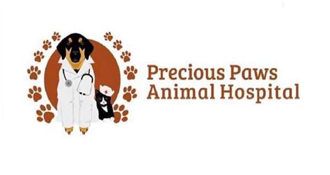 Precious Paws Animal Hospital Book An Appointment