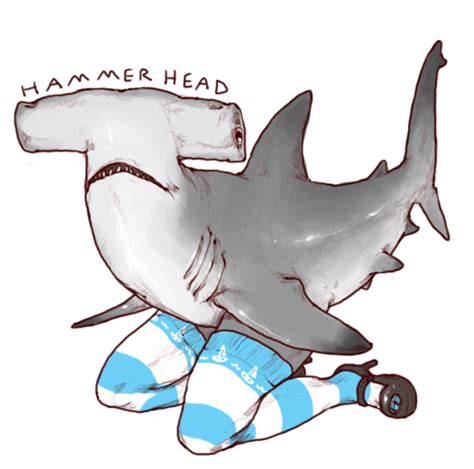 Go Wash Your Hands For Like Years Ive Imagined A Shark