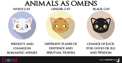 10 Animals As Omens When They Cross Your Path Magical Recipes Online