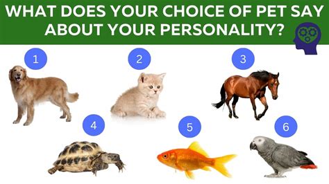 Favourite Pet Personality Test What Does Your Choice Of Pet Say About You