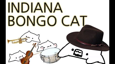 Bongo Cat Indiana Bongo Cat Youtube