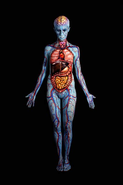 The human body is one complex network, universally accepted as the most intriguing construct. D E C E P T O L O G Y: 7 painted human body illusions