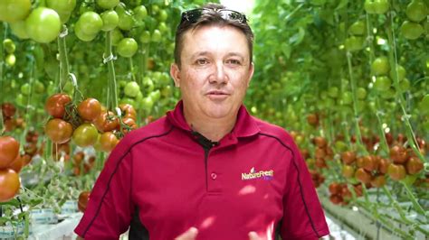 Introducing Ontariored Tomatoes From Naturefresh Farms