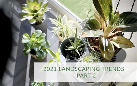 2021 Landscaping Trends Part 2 Rainscape