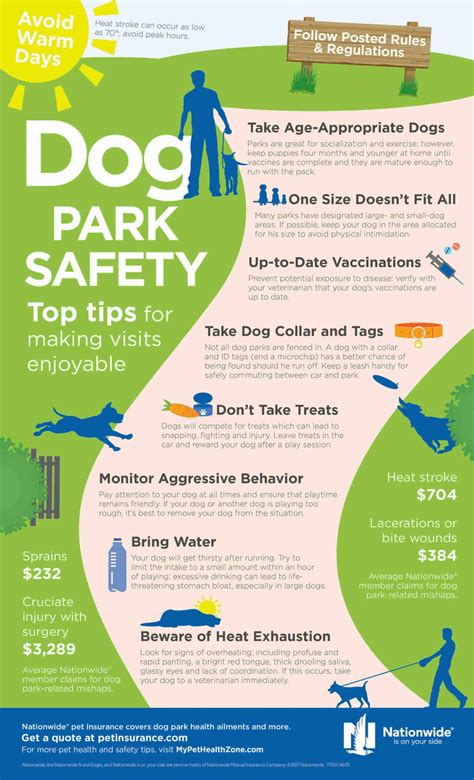 8 Safety Tips For A Day At The Dog Park Daily Infographic