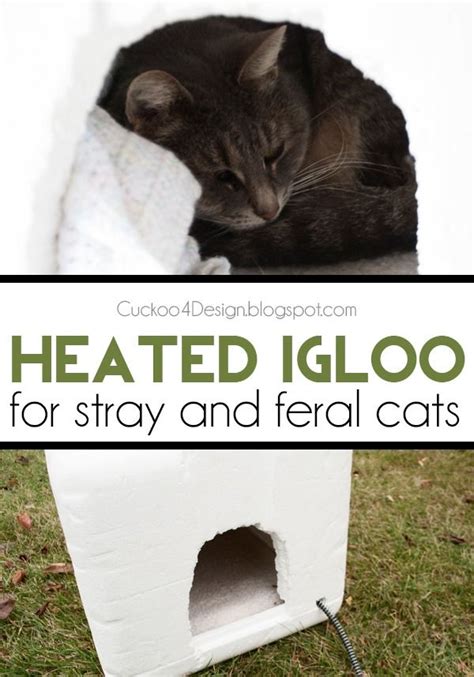 Diy Heated Igloo For Feral And Stray Cats Outdoor Cat House Outdoor