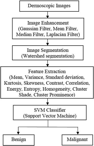 Schematic Diagram Of Skin Lesion Classification Using Svm Classifier