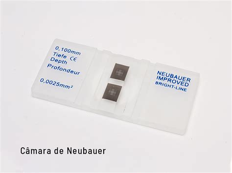 Camara De Neubauer Contagem De Leucocitos