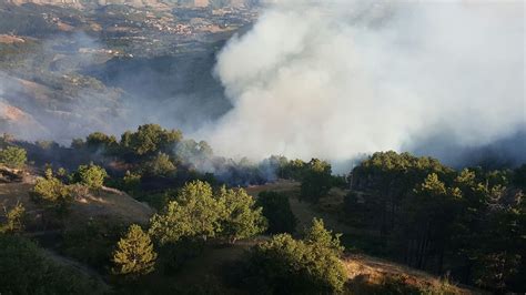 Nuovi incendi in abruzzo, ora anche verso il monte calvo. Valle Castellana, ripartito l'incendio a Macchia da Sole ...