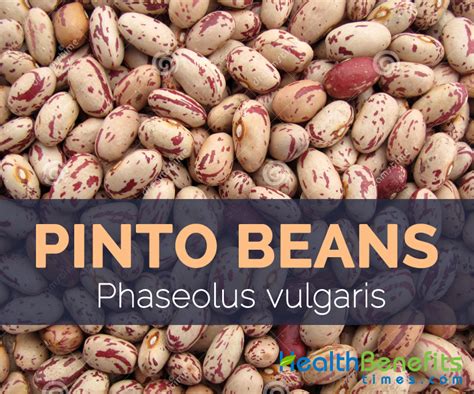 pinto beans facts health benefits and nutritional value