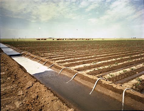 Irrigation Farming The Portal To Texas History