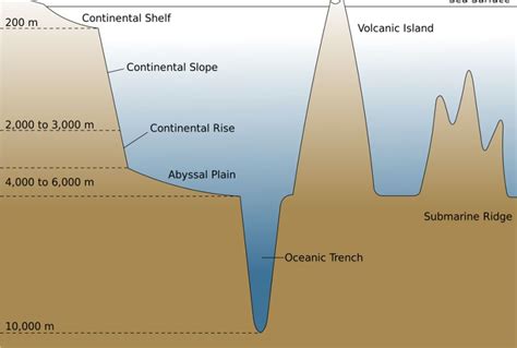 50 Unbelievable Facts About The Mariana Trench Ultimate Guide 2024