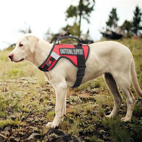 Esa Harness For Large Dogs No Pull Emotional Support Therapy Dog