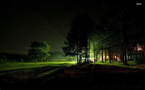 Night Forest Wallpapers Wallpaper Cave