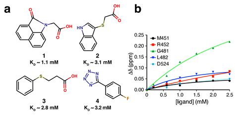 antibiotics free full text fragment based discovery of inhibitors of the bacterial dnag ssb