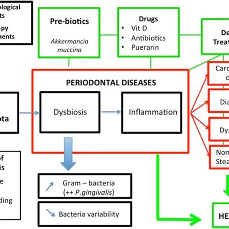 Impact Of Oral Dysbiosis Associated With Periodontitis In Metabolic Download Scientific Diagram