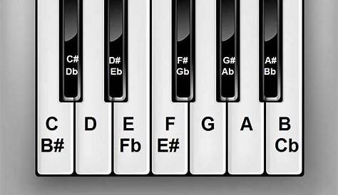 Piano Keys Chart for Beginner Piano Students
